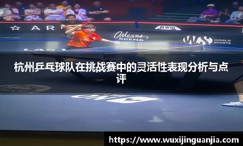 杭州乒乓球队在挑战赛中的灵活性表现分析与点评